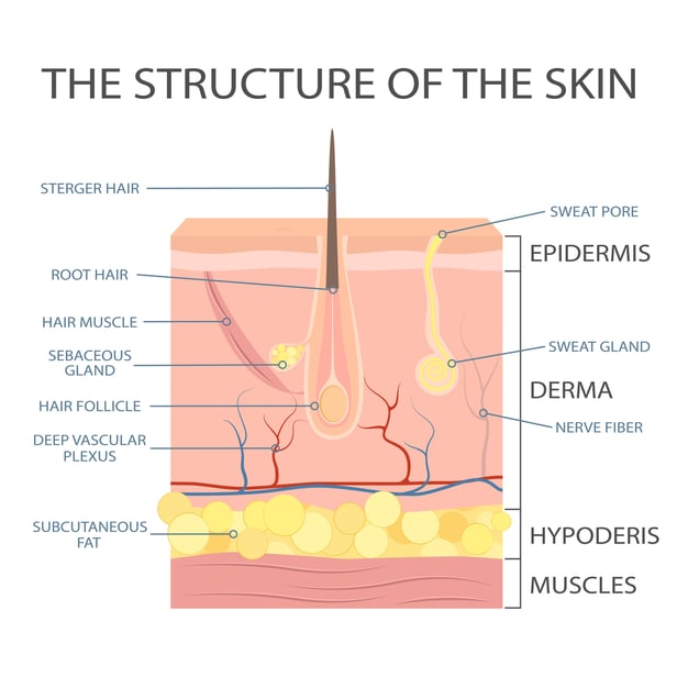 acne-causes-skin-problems-diseases-beauty-infographics-vector-illustration